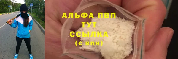 ГАЛЛЮЦИНОГЕННЫЕ ГРИБЫ Белокуриха